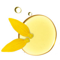 YLANG YLANG