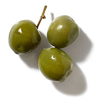 OLIJFSQUALAAN