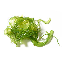 ALGEN EXTRACT