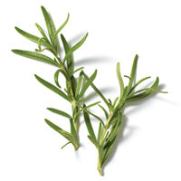 ROZEMARIJN EXTRACT