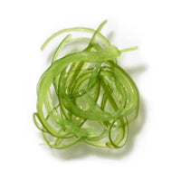 BIOACTIVE MARINE EXTRACT