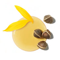 Moringa-, Avocado- & Zonnebloemolie