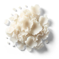 Ceramides