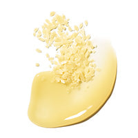 Carnaubawas