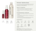 HYDRATION SPRAY (MINI) - Pommisst 