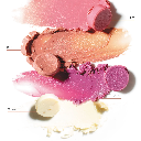 Summer SPF Set