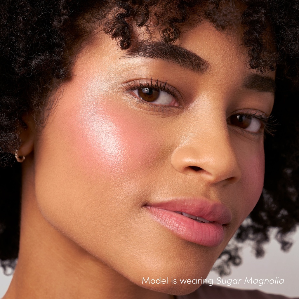 Model applicatie