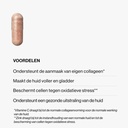 Skin Collagen Support 2